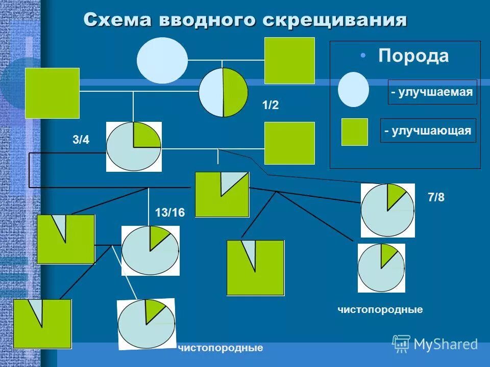 Скрещивание в palworld