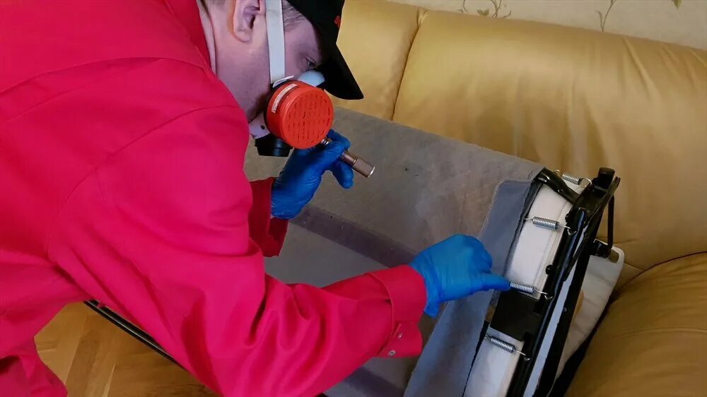 дезинфекция помещения предметов обстановки. служба дезинфекции москва. уничтожение клопов в москве. дезинсекция помещений от тараканов. дезинсекторы москва.