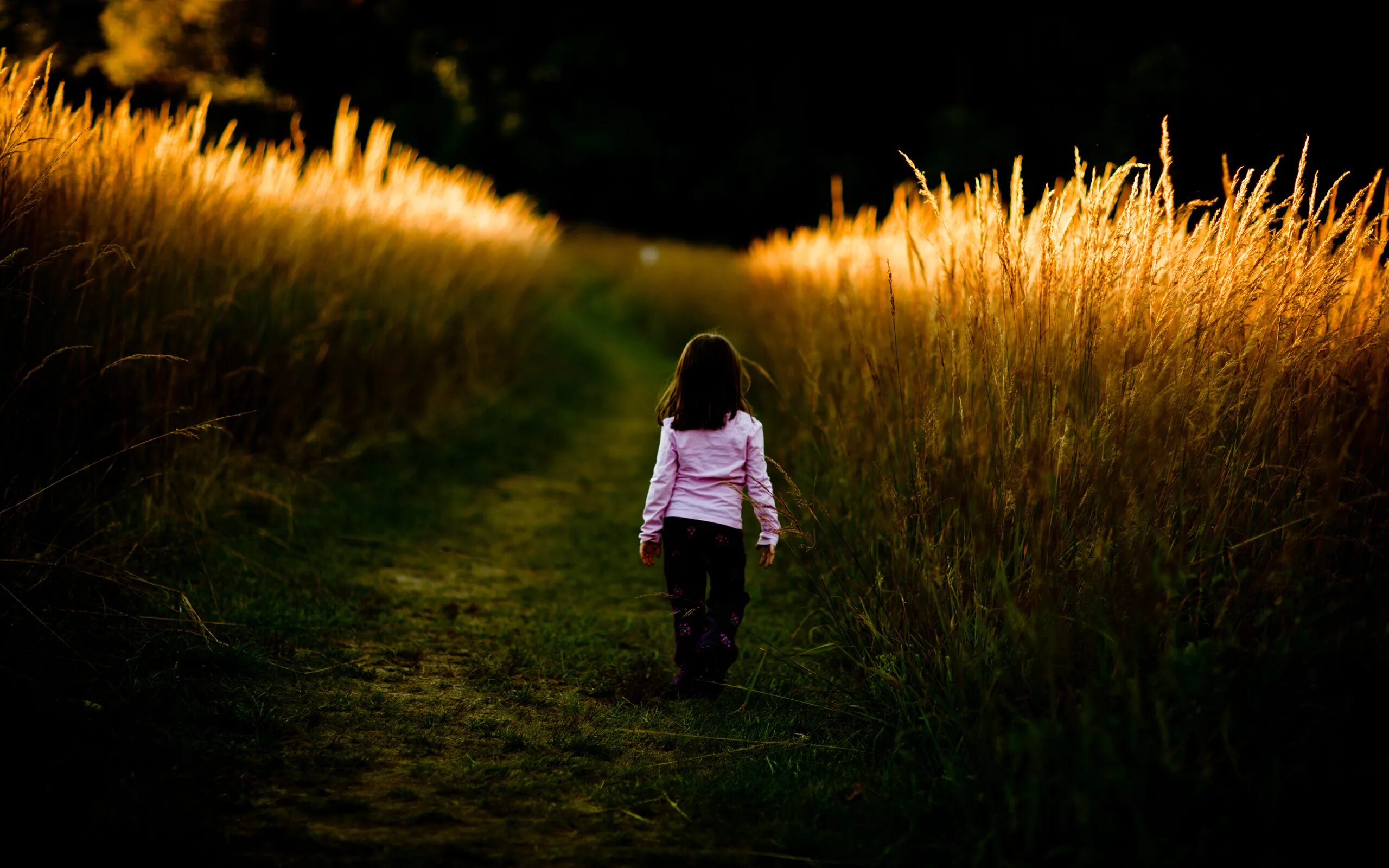Field children. Девочка идет по траве. Девочка в поле. Ребенок в поле спиной. Девушка в поле ночью.
