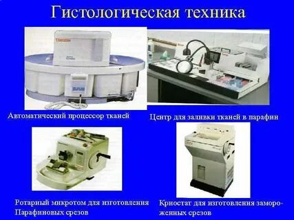 Гистология аппараты