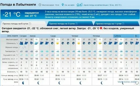 Погода в домодедово в ноябре 2024