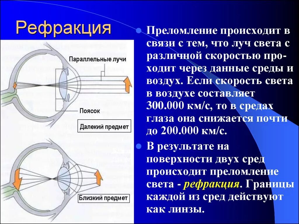 Фокусировка лучей света на внутренней поверхности глазного. Механизм рефракции глаза. Рефракция оптической системы это. Оптическая схема глаза человека. Рефракция лучей в глазу.