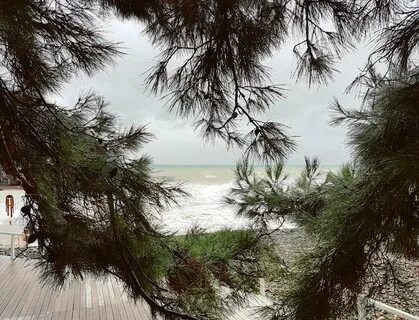 Море сочи декабрь