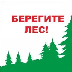 Управление лесничествами пермского края