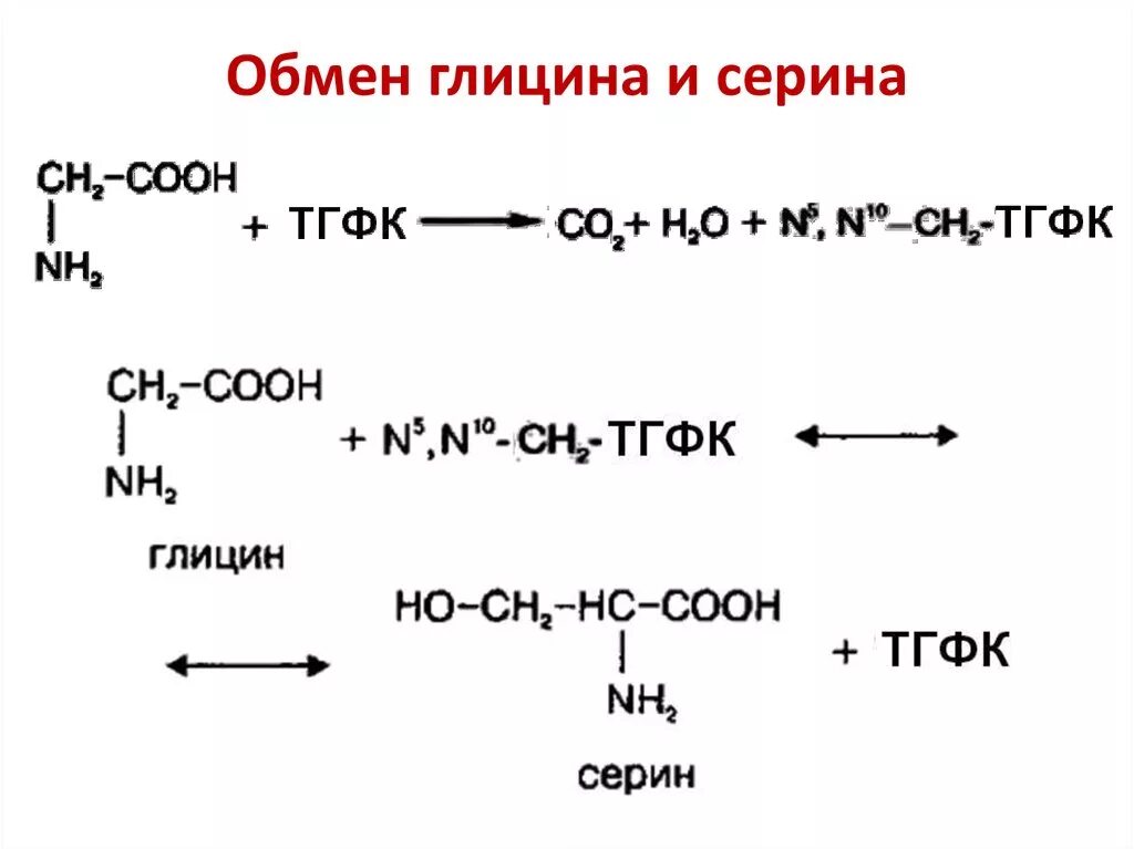 Напишите реакцию глицина. Схема обмена глицина и Серина. Обмен глицина и Серина реакции. Реакция образования Серина из глицина. Образование глицина из Серина.