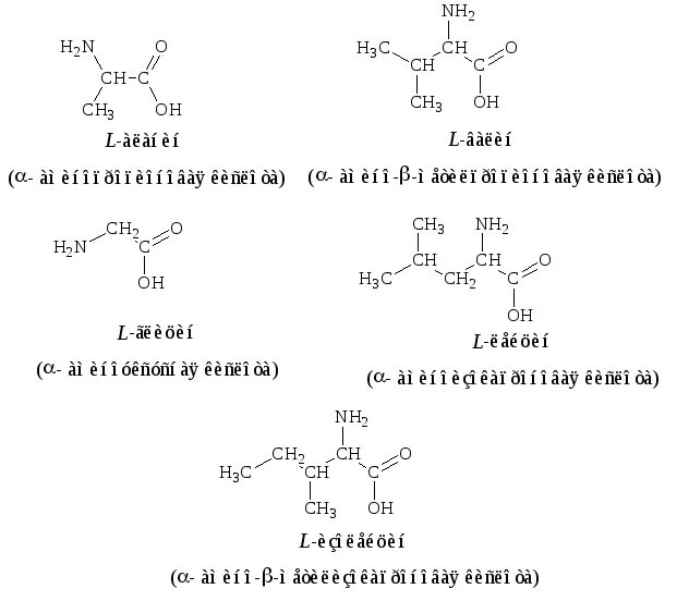 Алифатические глицин аланин Валин лейцин изолейцин. Формулы оптических изомеров Валина. Валин строение аминокислоты. Оптические изомеры лейцина. 3 аминопропионовая кислота