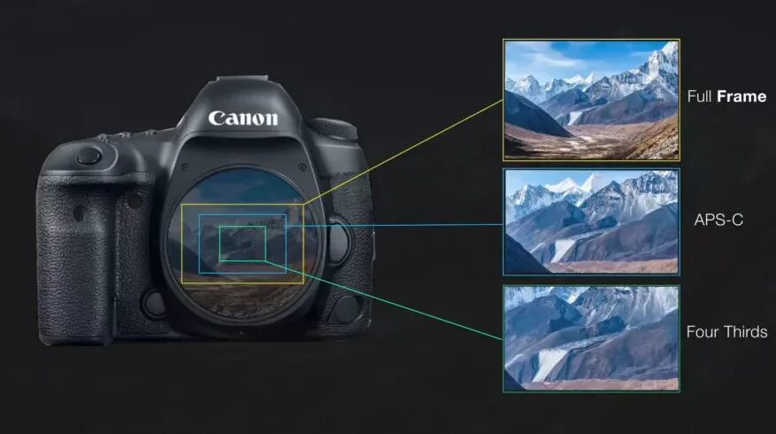 Кроп матрица и полный Кадр. Кроп фактор для фотоаппарата Canon 80d. Матрица кроп камеры и полный Кадр. Micro 4/3 кроп фактор.