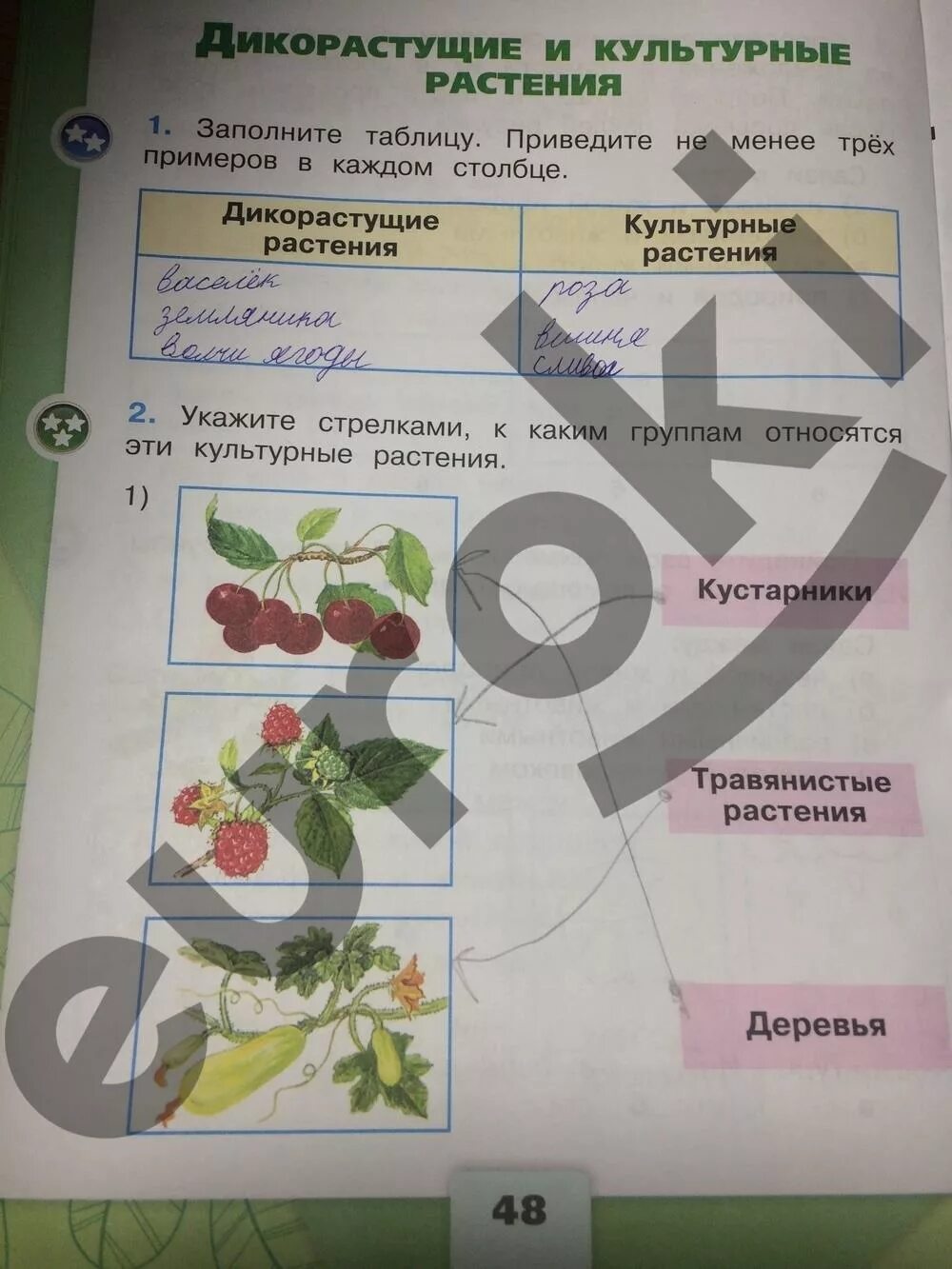 Окр мир рабочая тетрадь стр 8. Рабочая тетрадь окружающий мир 2 класс две части Плешаков. Гдз по окружающему миру 2 класс рабочая тетрадь Плешаков стр 48. Гдз по окружающему миру Плешаков 2 часть страница 48. Гдз 2 кл окружающий мир Плешаков рабочая.