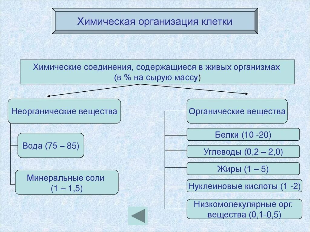 Организация вещества клетки