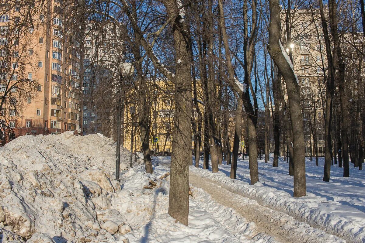 Петровский парк 2 купить. Петровский парк 2. ЖК Петровский парк 2. Парк Петровский Волгоград. Сквер Академика Петровского.