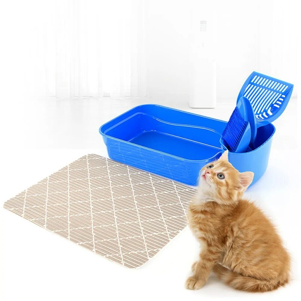 Как приучить котенка. Лоток для котят. Лоток для кошек маленький. Туалет для котят. Лоток для котов с наполнителем.