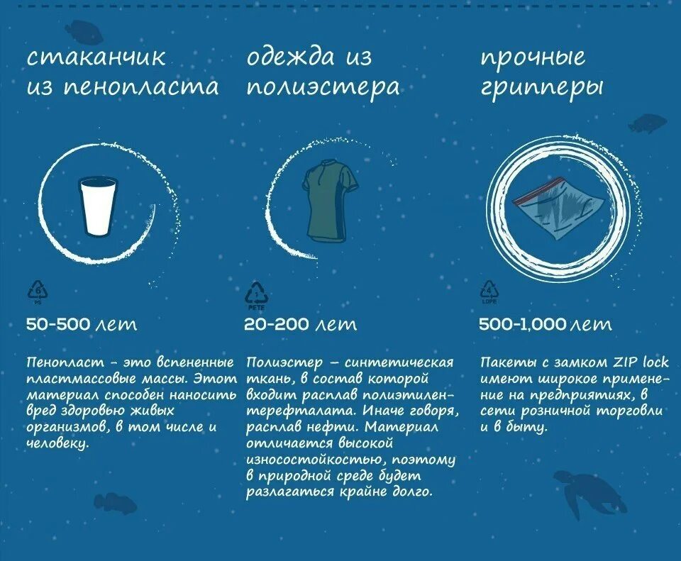 Сколько разлагается цинковый гроб. Сколько разлагается человек. за какое время разлагается пластик. через сколько разлагается тело человека.
