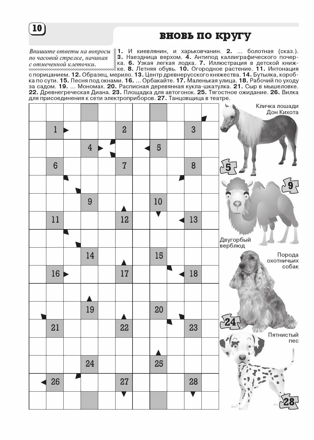 Кроссворд породы собак. Кроссворд по породам собак. Кроссворд про собак для детей. Кроссворд по охотничьим собакам. Дикая собака кроссворд