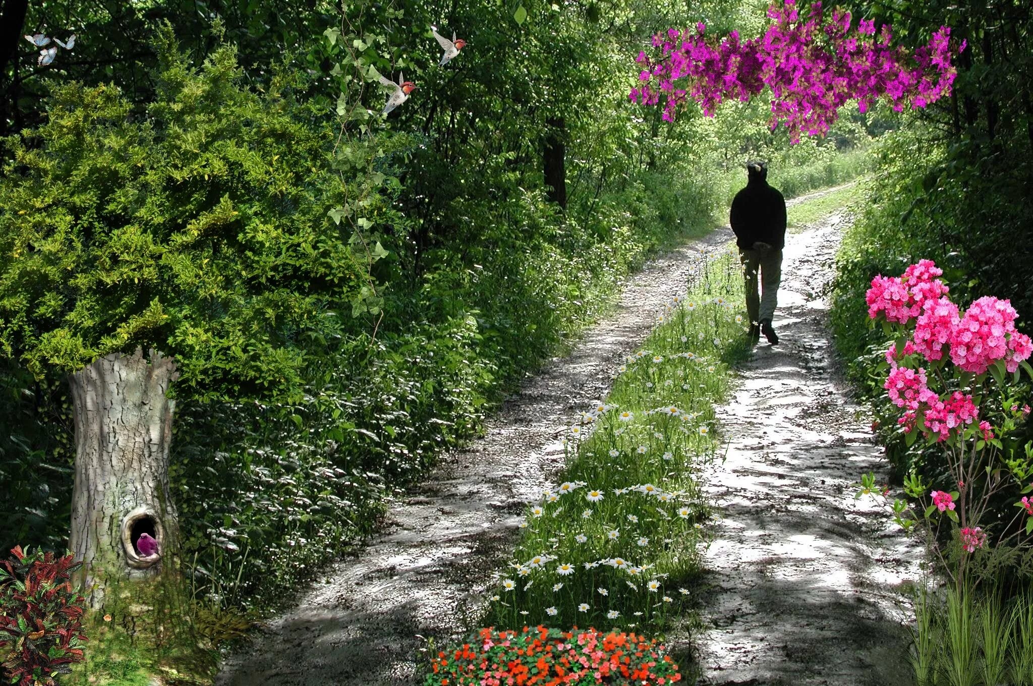 Поставь по тропе. Тропинка уходящая в даль. Человек на тропинке. Дорога путь. Парень идет.