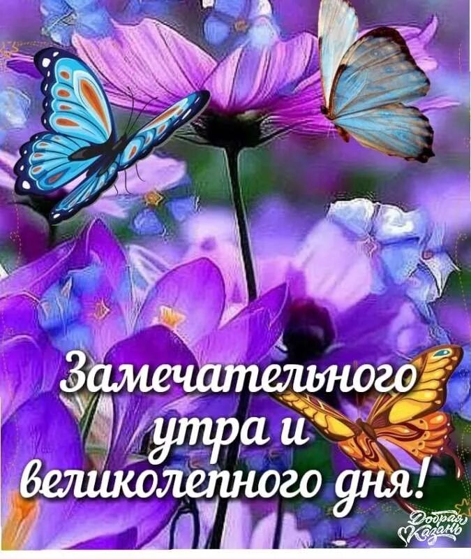 открытки мерцающие для поднятия настроения. настроение было замечательное. прекрасной женщине отличного настроения. красивый весенний букет. настроение было замечательное.