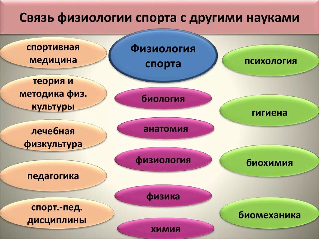 Науки связанные с методикой. Связь физической культуры с другими науками. Взаимосвязь с другими науками. Взаимосвязь физкультуры с другими дисциплинами. Взаимосвязь физической культуры с другими науками.