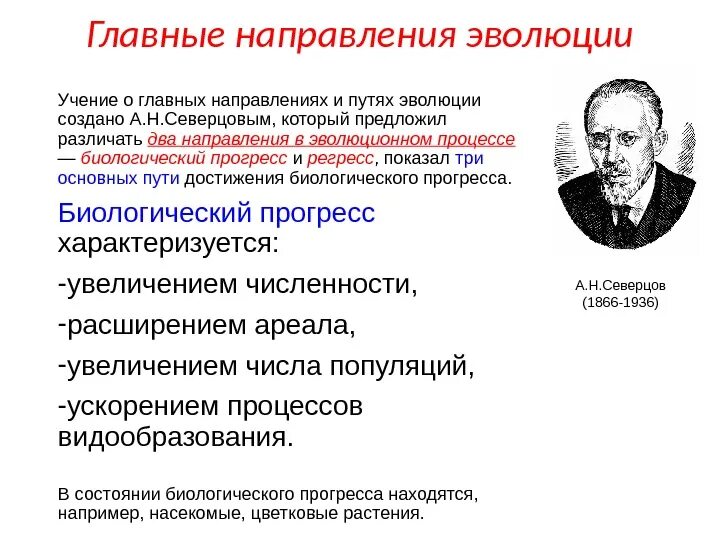 Направление развития т. Главные направления эволюции Северцов и Шмальгаузен. Основные направления эволюции Северцов. Основные пути эволюционного процесса. Основные эволюционные тенденции.