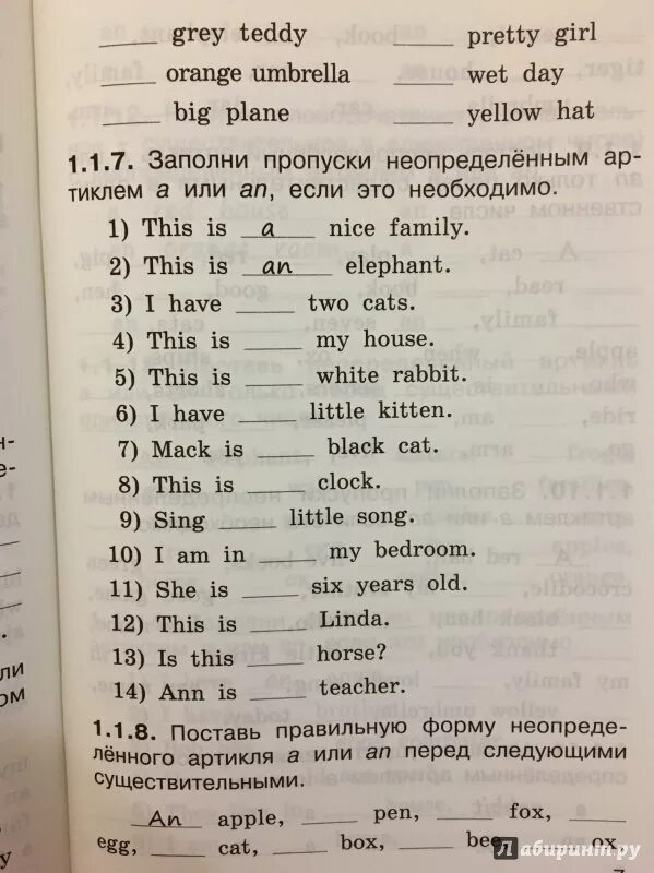 Тренажер по английскому языку. Тренажер по грамматике английского языка. Тренажер англ 2 класс. Гдз по английскому грамматический тренажер. Ключи английский язык грамматический тренажер