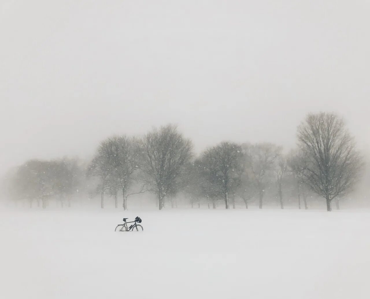 Снежная буря. Снежная метель. Снежная метель. Березы в тумане. Снежная вьюга.