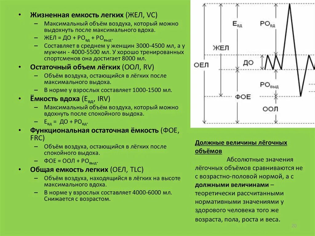 Жизненная емкость это количество. Легочные объемы и жизненная емкость легких. Общая емкость легких и объемы, составляющие ее.. Жизненная емкость легких жел это. Схема легочных объемов.