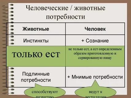 Отличие потребности от инстинкта