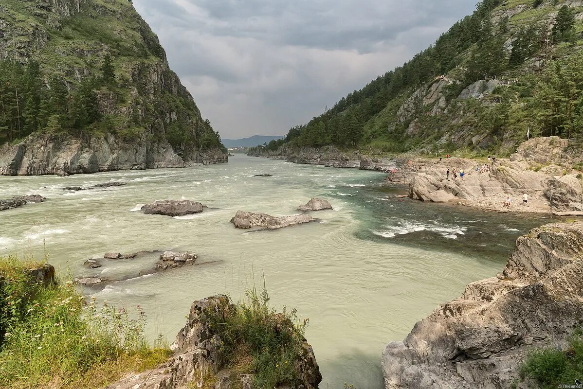 Вода в реке бия. Река Катунь Чемал. Катунь в Чемале. Слияние рек Катунь и Чемал. Чемал впадает в Катунь.