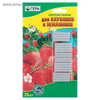 Какие удобрения для клубники
