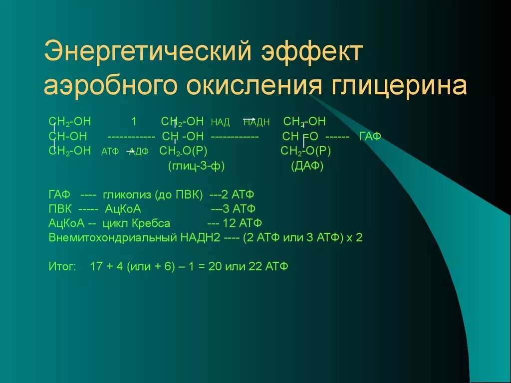 Энергетическая ценность окисления глицерина. Энергетический выход окисления глицерина. Окисление глицерина энергетический эффект. Энергетический эффект полного окисления глицерина.