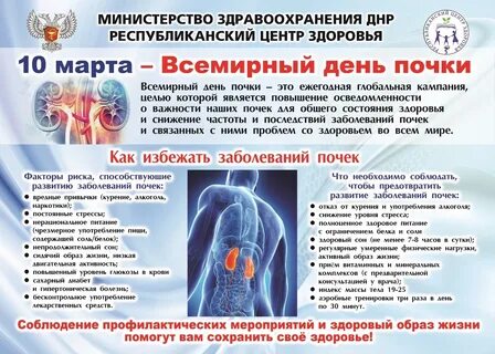 День почки