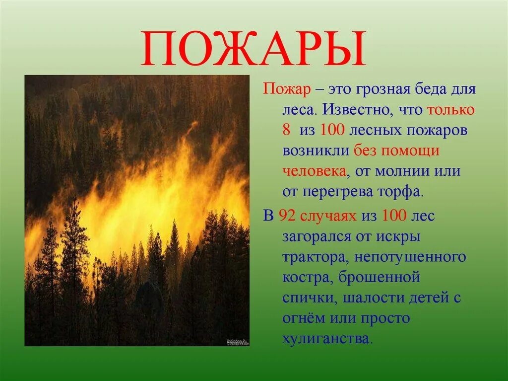 Пожар окр мир. Лесные пожары. Презентация на тему Лесные пожары. Информация о лесных пожарах. Конспект на тему Лесные пожары.