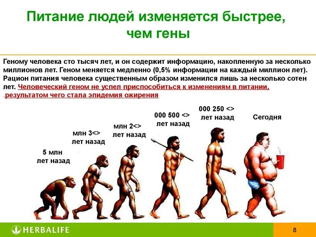 3 изменения человека. Эволюция питания. Эволюция питания человечества. История питания человека. .Питание и развитие человека кратко.