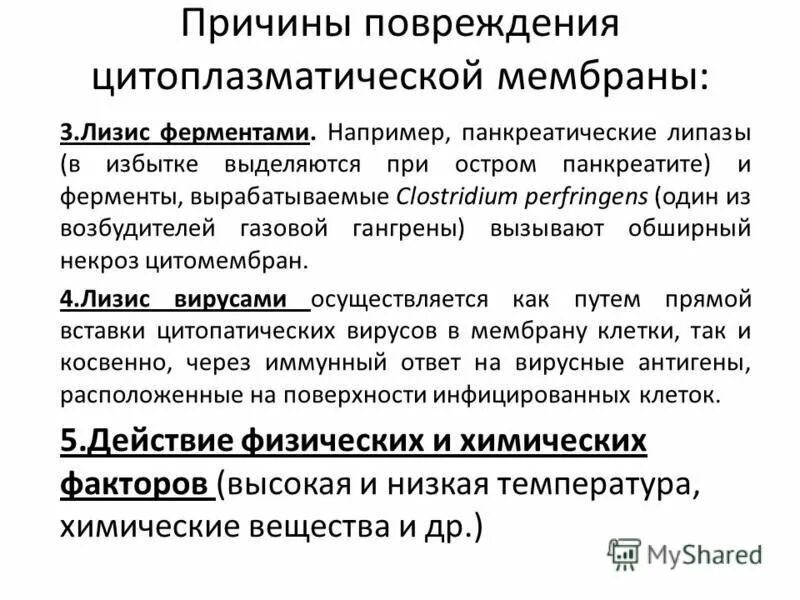 Ферменты секретируемые в кровь