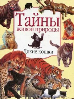 Семейство кошачьих книга