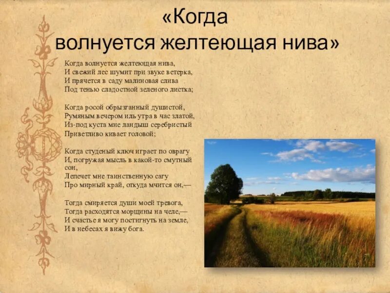 М.Ю.Лермонтова "когда волнуется желтеющая Нива...". Стихотворение Лермонтова когда волнуется желтеющая Нива. М Ю Лермонтов стихотворение когда волнуется желтеющая Нива. Стихотворение желтеющая Нива Лермонтов.