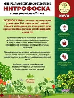 Чем отличается азофоска от нитрофоски