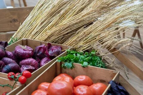 Органическая продукция сельского хозяйства
