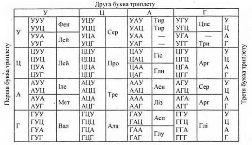 Таблица а т г ц. РНК А Г Т Ц. Таблица комплементарности. Т–А-Т–Г–Т–Г–Т–А–Ц–Г–А–А–Т-А-Ц-Т-А-А.