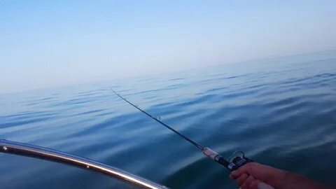 Рыбалка в адлере
