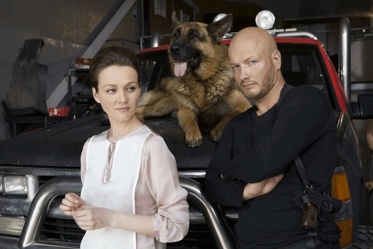 никита панфилов пес. сериал пёс 7 сезон. алексей леонидович сериал пес. максим никита панфилов. максим максимов сериал пес.