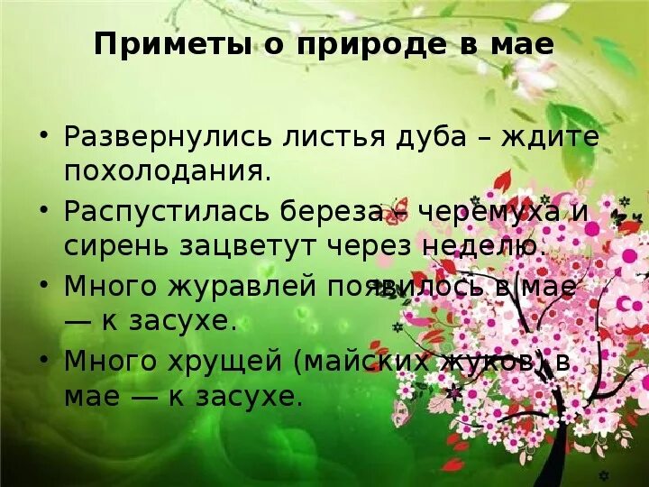 Какие дни весной ответ. Приметы о природе. Народные приметы о весне. Народные приметы май. Интересные приметы весны.