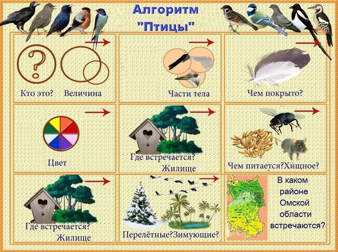 Картинно. Мнемотаблицы для дошкольников перелетные птицы. Составление рассказа по мнемотаблице перелётные птицы. Алгоритм описания птицы. Схема составления рассказа о птицах.