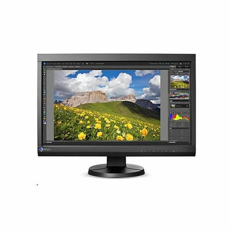 Монитор ips 30. Eizo radiforce mx194-bk. eizo coloredge cs2410, black. монитор красивая картинка. mx194 монитор eizo mx194-bk.