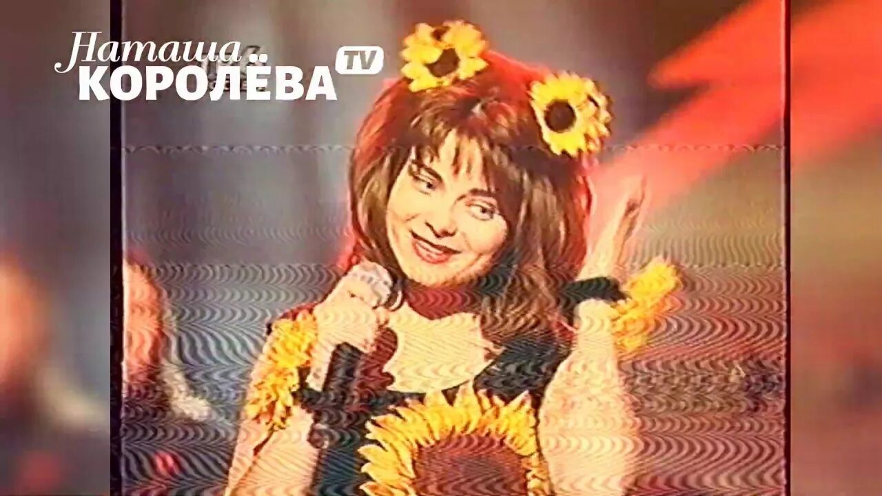 Наташа Королева 1996. Наташа Королева Подсолнухи. Наташа Королева Мои Подсолнухи.