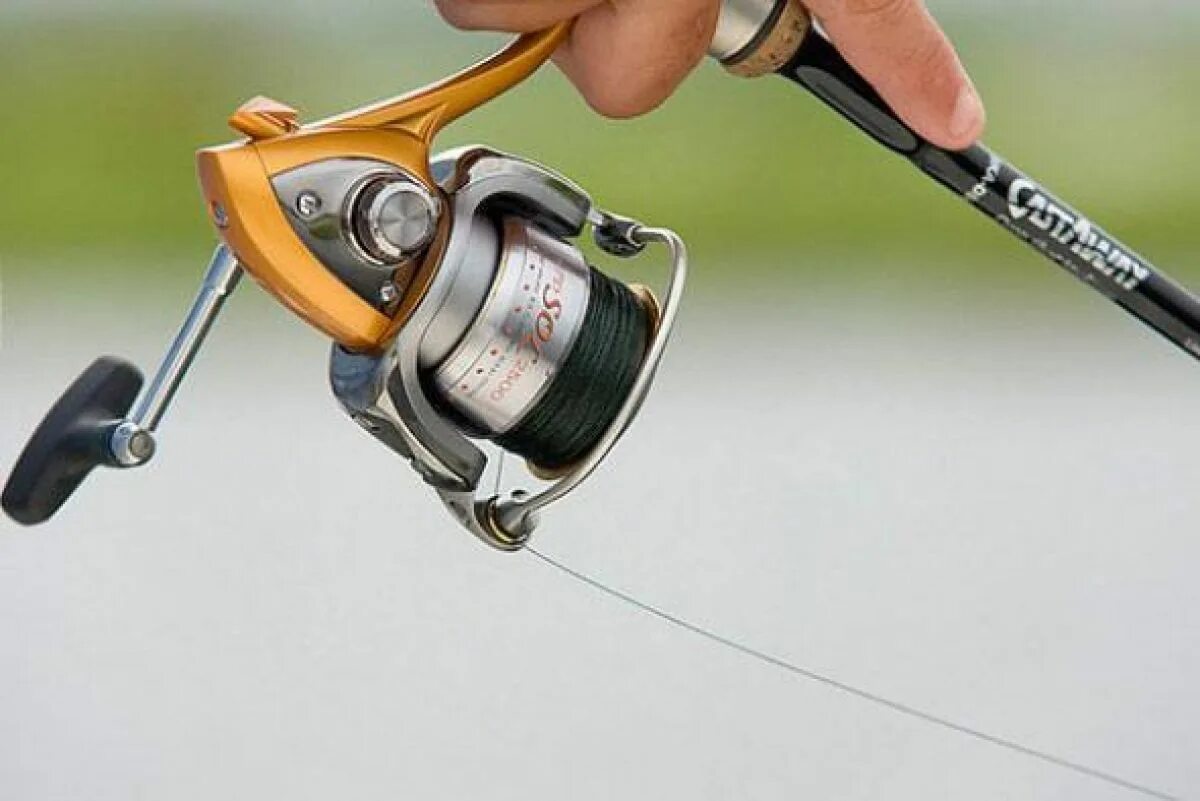 Spinning reel. Daiwa 5200 катушка для спиннинга. Катушка Black Side Zircon. Спиннинговая катушка ex1000f. Катушка COTTUS Gear ratio 4.0.