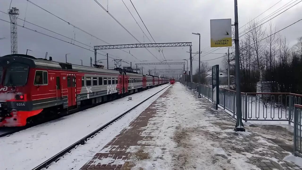 Электрички большая волга москва савеловская. Эд4м 254. Эд4м 0254. Платформа большая Волга. Станция большая Волга.