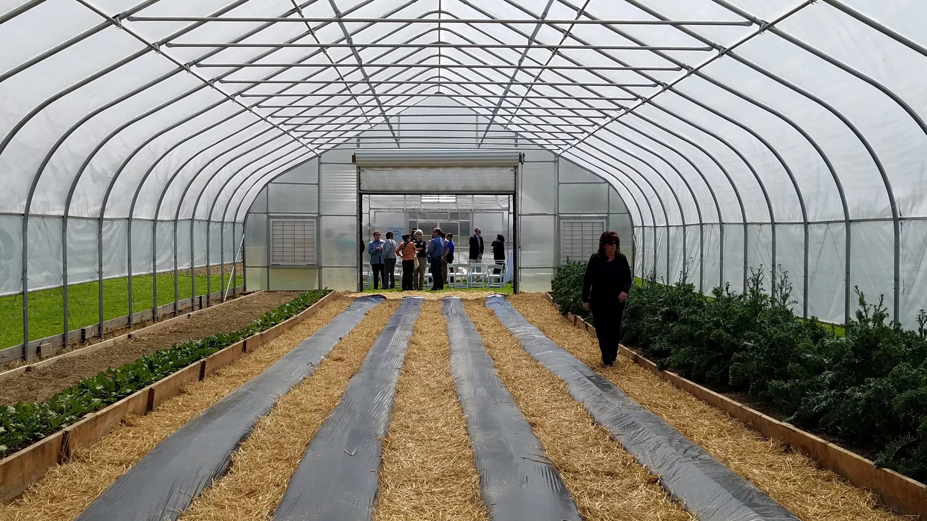 Полимер теплицы. Теплицы 5-го поколения active climate типа venlo. теплица тоннель. огромная теплица. промышленные теплицы.