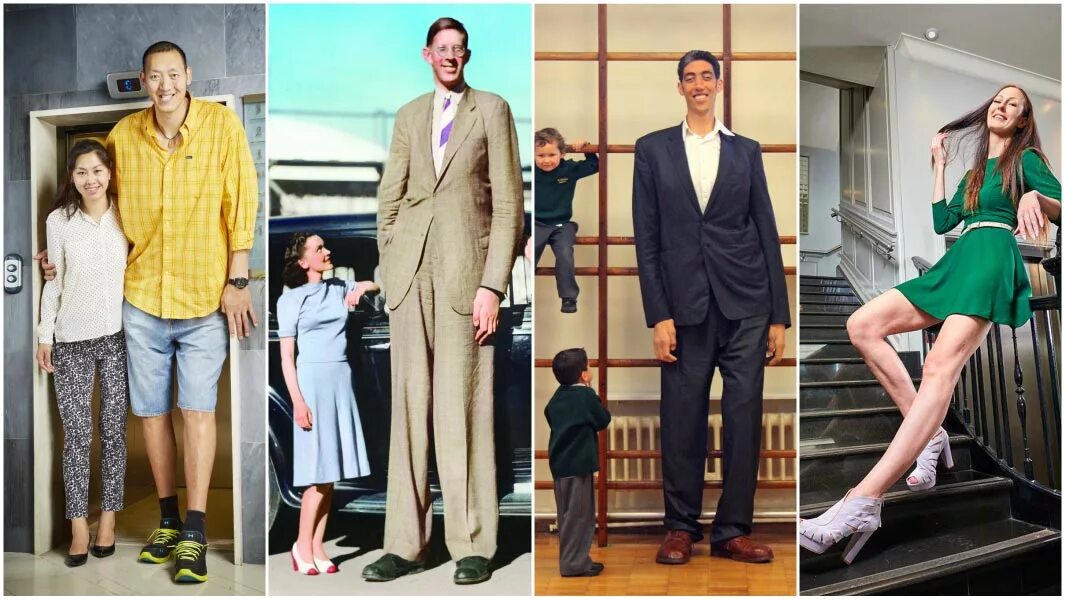 Who is tall. Самый высокий мужчина из ныне живущих. tallest man height. the tallest man in the world. 40 метров и человек.