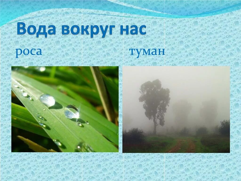 Тема недели вода вокруг нас. Вода вокруг нас. «Вода вокруг нас» презентация. Вода вокруг нас презентация для детей. Вода вокруг нас для дошкольников.