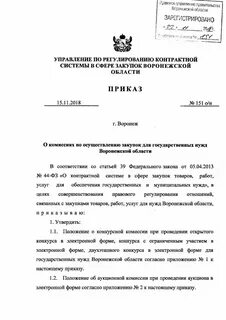 Решение о создании комиссии 44 фз