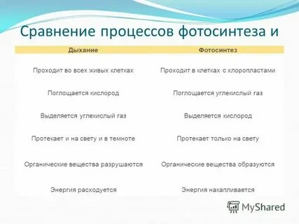 Таблица фотосинтез дыхание 6 класс